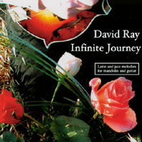 DAVID RAY: Infinite Journey