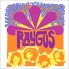 RAYGUS: Harmony & Tambourines
