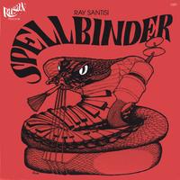 Ray Santisi : Spellbinder