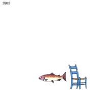 Ronnie Cramer : The Salmon Chair