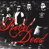 THE REBEL DEAD: The Rebel Dead