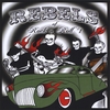 VARIOUS ARTISTS: Rebels of Rock 'N' Roll, Vol. 1