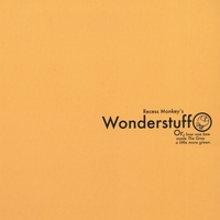 RECESS MONKEY: Wonderstuff