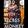 RECESS MONKEY: Wonderstuff
