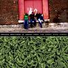 THE REDDING BROTHERS: Wisdom from the Green Shag Carpet