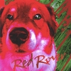 RED ROVER: Red Rover