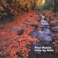 Paul Reece : little by little