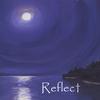 REFLECT: Reflect