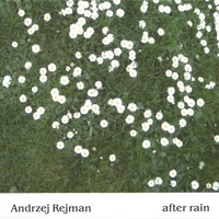 Andrzej Rejman : After Rain