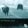 REX FOSTER: Buffalo Zen