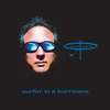 Rex Paul: Surfin