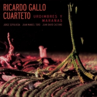 Ricardo Gallo : Urdimbres y Marañas