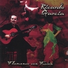 RICARDO GARCIA: Flamenco con Fusion