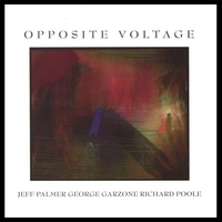 Richard Poole : Opposite Voltage