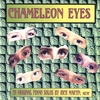 RICH MARTIN: Chameleon Eyes