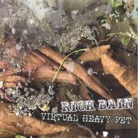 Rick Bain : Virtual Heavy Pet