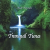 RICK FOUNDS: Tranquil Tunes