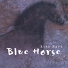 RICK HART AND THE BLUE HORSE BAND: Blue Horse