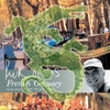 RICK STEIN: Rick Stein's French Odyssey