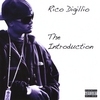 RICO DIGILLIO: The Introduction