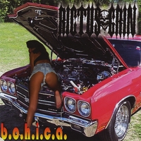 RICTUS GRIN: B.O.H.I.C.A.