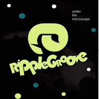 Ripplegroove : Under The Microscope