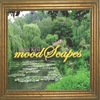 RISA KELL: moodScapes