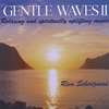 RIVA SCHERTZMAN: Gentle Waves II