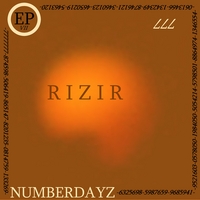 Rizir : Numberdayz EP Demo