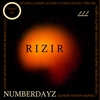RIZIR: Numberdayz-Demo