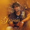 RJ ADAMS: Acoustic Soul