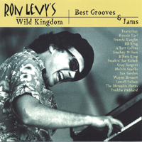 Ron Levy : Best Grooves & Jams