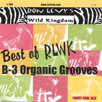 RON LEVY'S WILD KINGDOM: Best Of Rlwk - B-3 Organic Grooves