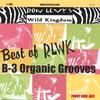 RON LEVY'S WILD KINGDOM: Best Of Rlwk - B-3 Organic Grooves