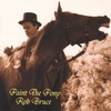 ROB BRUCE: Paint The Pony