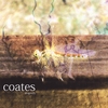 ROBERT COATES: Dragonfly