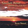 DAVID ROBERT: Tamarindo Sunset (Postcards From Costa Rica)