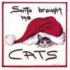 ROBERT FUGO: Santa Brought Me Cats