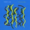 ROBERT LAMM: The Bossa Project