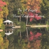 ROBERT MAHAN: In A Small New England Town