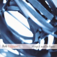 Rob Falgiano : Things I Used to Know
