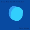 ROBIN BATTEAU: Voices from the Hole in the Wall