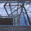 ROBIN COX ENSEMBLE: Level 7
