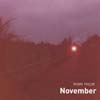 ROBIN TAYLOR: November