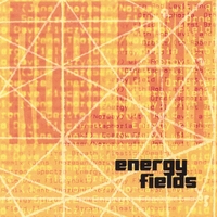 ROB LEVIT: Energy Fields