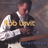 ROB LEVIT: Afterimage