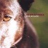 ROB MCDADE: Terrafirma