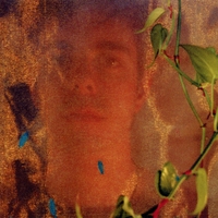 Jon Rodgers : The Sound of Birds