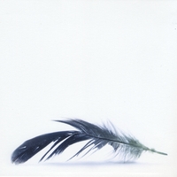JONNY RODGERS: The Aviary