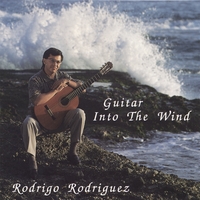 Rodrigo Rodriguez : Guitar Into The Wind